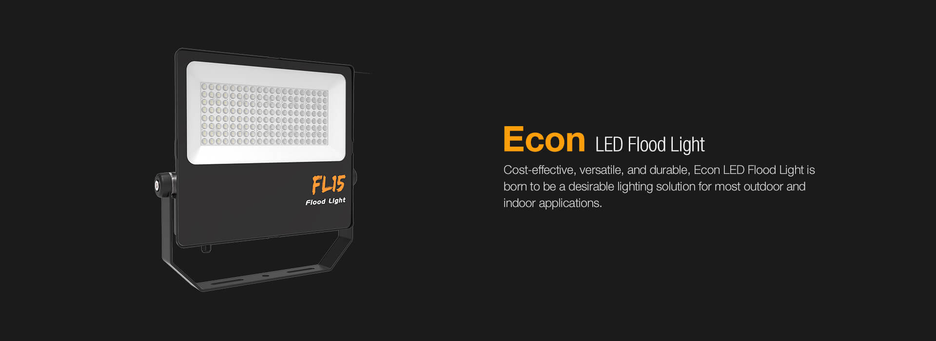 Econ LED Flood Light