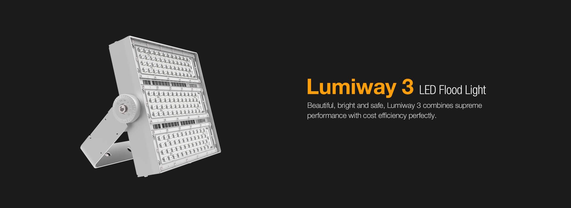 Lumiway 3 LED Flood Light