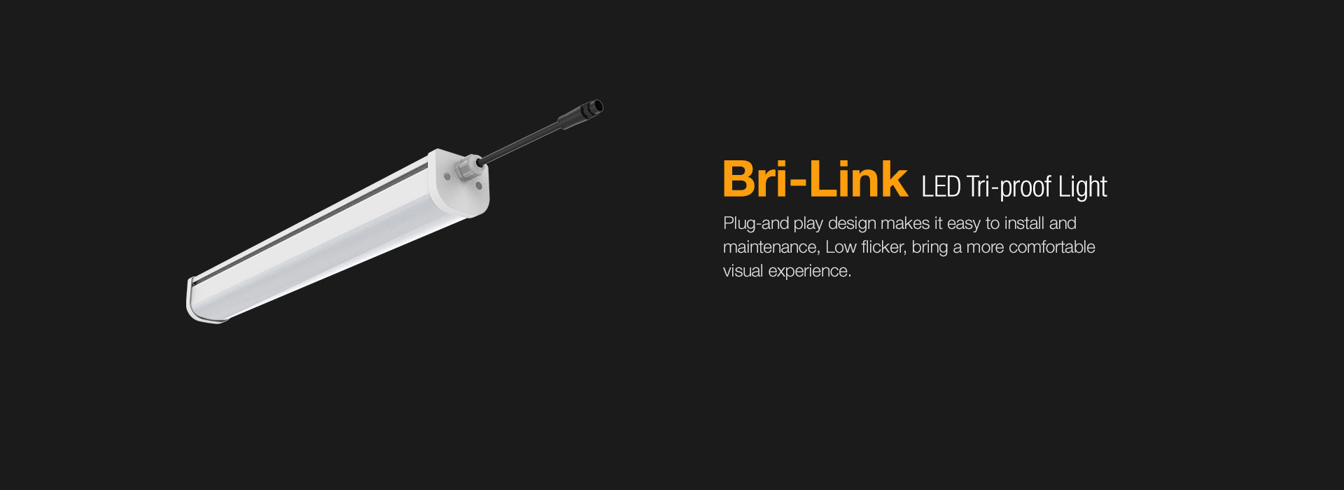 Bri-Link LED Tri-proof Light