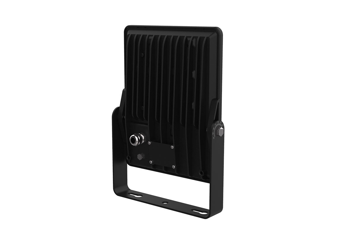 Rana LED flood light